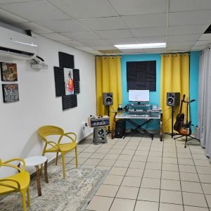 clases de guitarra camuy